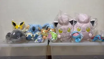 포켓몬스터 봉제 인형 묶음 판매