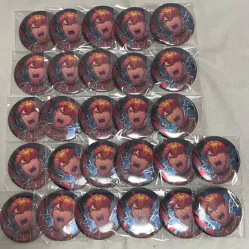 파라라이 료가 정리