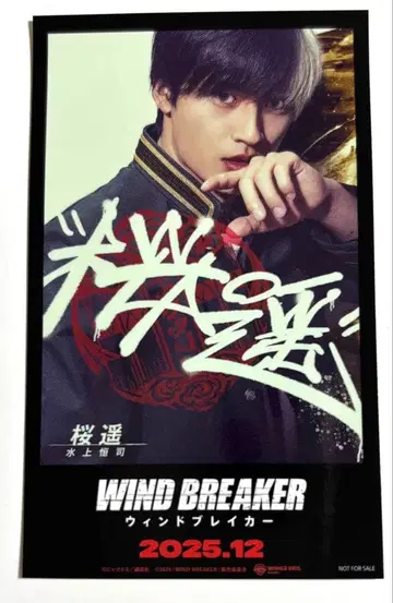 WIND BREAKER 미치톤보리 콜라보 사쿠라 하루카
