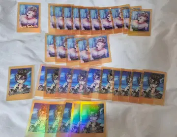 악마 고양이 로노 파샤코레