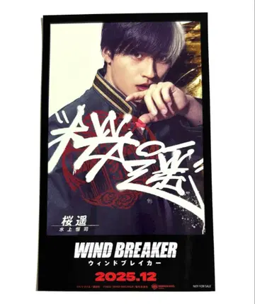 WIND BREAKER 미치토호리 콜라보 사쿠라 하루카