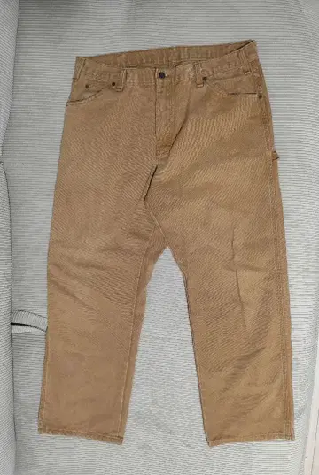 Relaxed Fit 덕 페인터 팬츠 Dickies/디키즈