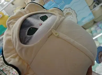 지퍼 달린 고양이 봉제 인형