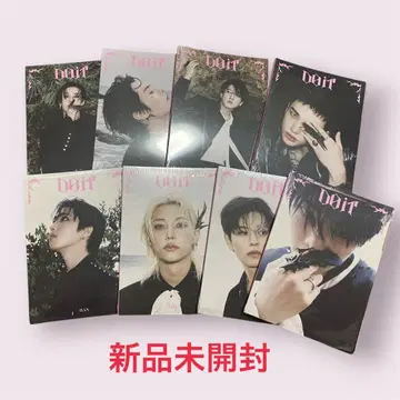 Stray Kids 스키즈 DO IT 아코디언 컴프 미개봉 8장