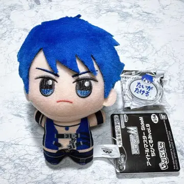 아이돌 마스터 SideM SD 인형 이름표 배지 타이가 타케루