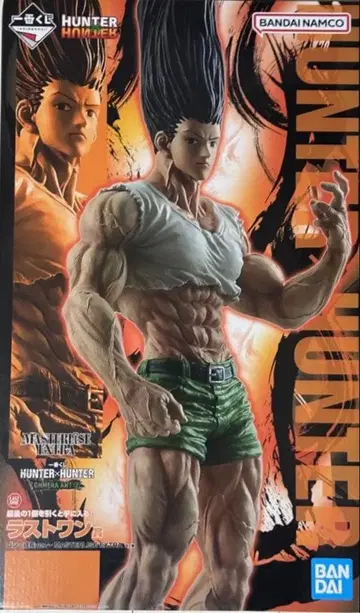 제일복권 헌터헌터 라스트 원 곤 피규어