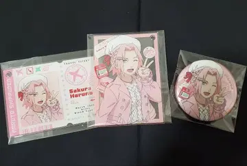 NARUTO 하루노 사쿠라