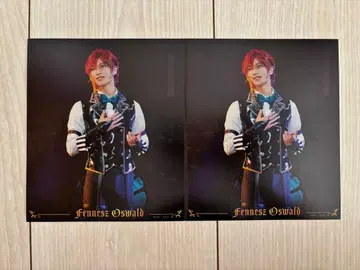 아쿠스테 페네스 카지타 타쿠키 브로마이드