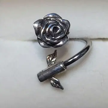 장미의 실버풍 바디 피어싱