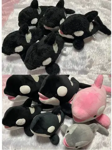 스마 시월드 카모가와 시월드 나고야항 수족관 범고래 복권 봉제 인형