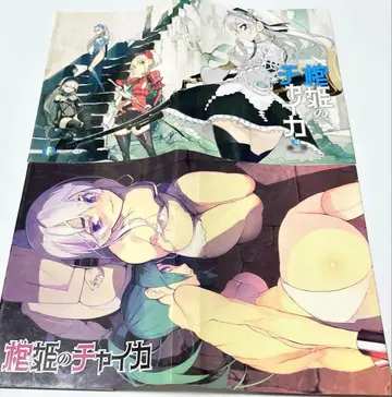 관희의 차이카 북커버