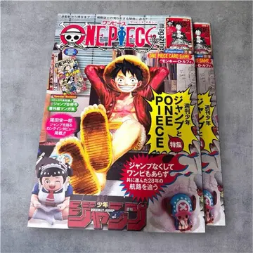 원피스 매거진 20호 2권 특별 부록 루피 프로모 카드 2장