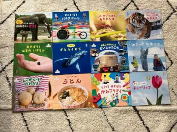 차일드 빅 사이언스 12권 세트