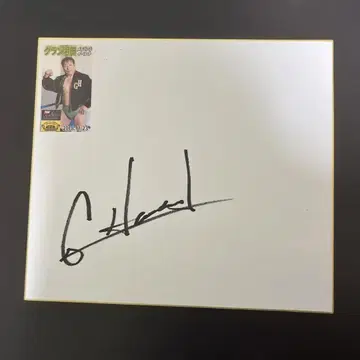 그랑 하마다 사인 색지