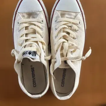 CONVERSE ALL STAR 아이보리 로우컷