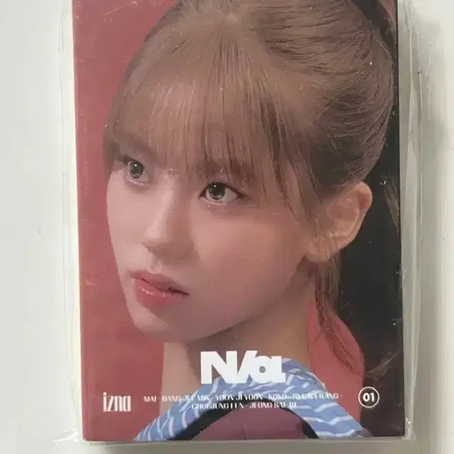 이즈나 네모버전 코코 미개봉 앨범 izna