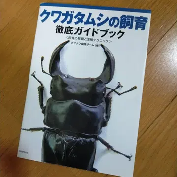 사슴벌레 사육 철저 가이드북: 사육 기초와 번식 테크닉