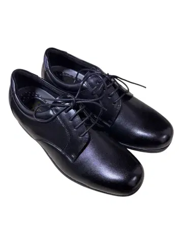 [ 미사용 ] 26.0cm 4E 리걸 프로페셔널 플레인 블랙 컬러