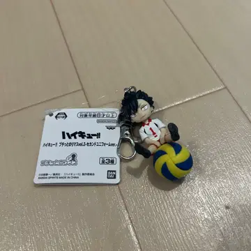 하이큐!! 배구 캐릭터 키링