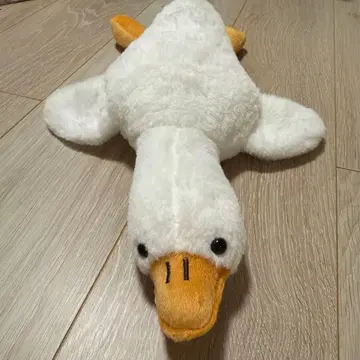 오리 봉제 인형