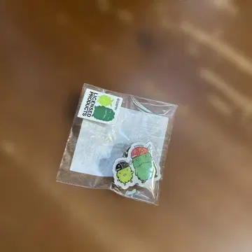 아이치 지구박람회 20주년 기념 핀 배지 모리조 키콜로