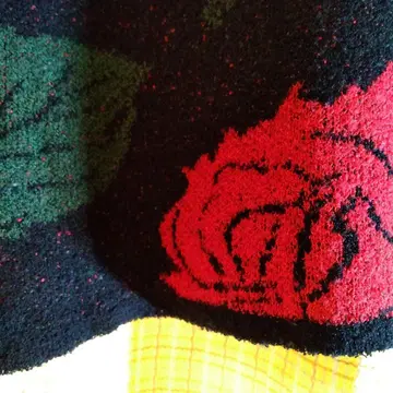 CARMONA 로즈 패턴 긴팔 니트 스웨터