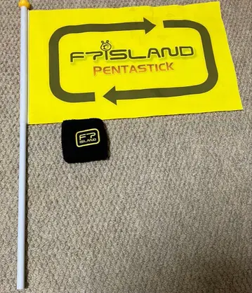 FTISLAND 플래그 & 리스트 밴드