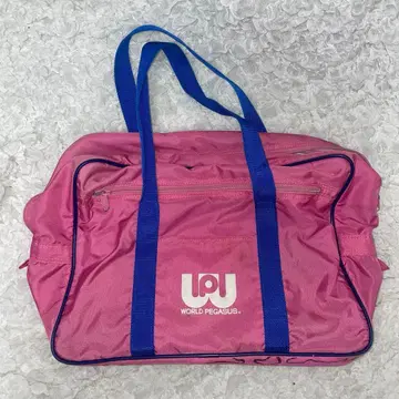 WORLD PEGASUS (구형)