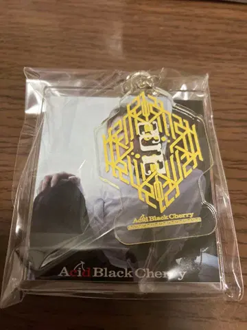 Acid Black Cherry 언제나 함께 두 줄 키링