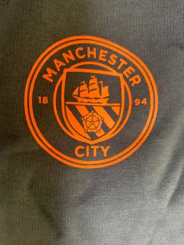 PUMA 맨체스터 시티 조거 팬츠 남성용 L