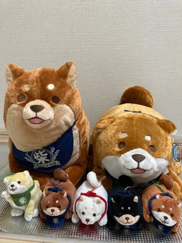 충견 모치시바 봉제 인형 시바견 묶음 판매