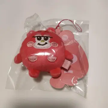 RIIZE 미니 인형 키링 리즈코 쇼타로 공식