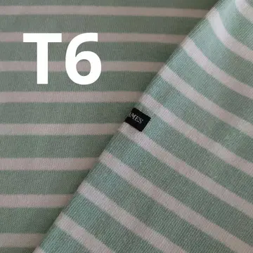 새상품급 웨쌍 민트 그린 x 화이트 T6 세인트 제임스