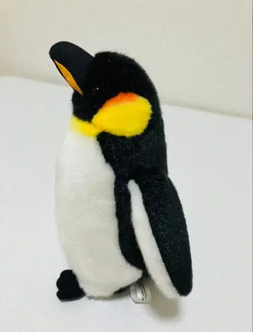 나고야항 수족관 황제펭귄 사육사 감수 봉제 인형 [20cm] 엠퍼러
