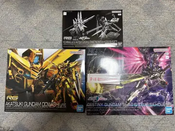 미개봉 RG 아카츠키 시라누이 팩 HG 데스티니 제우스 실루엣 새상품