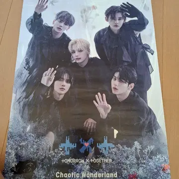 투모로우바이투게더 포스터 사진 카드 포함