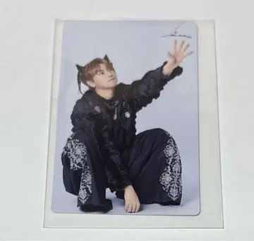 초특급 타카시 NINE LIVES 솔로반 트레이딩 카드