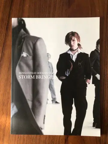 문호 스트레이독스 STORM BRINGER 팜플렛