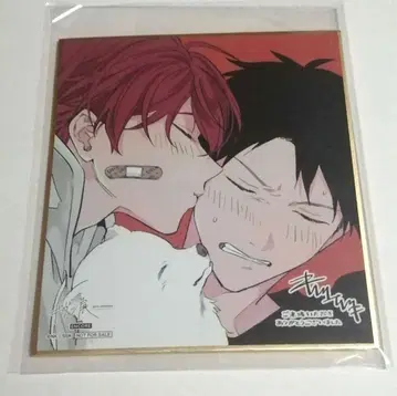 기븐전 앙코르 색지 리츠마후