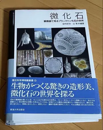 미화석 현미경으로 보는 플랑크톤 화석의 세계