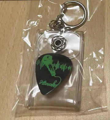 녹황색사회 피크 나가야 하루코