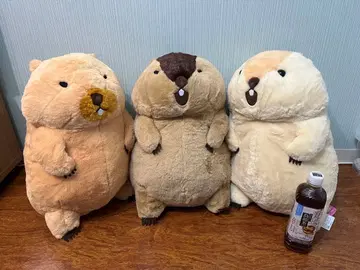 마모트의 모토토모아 울트라 BIG 봉제 인형 3세트