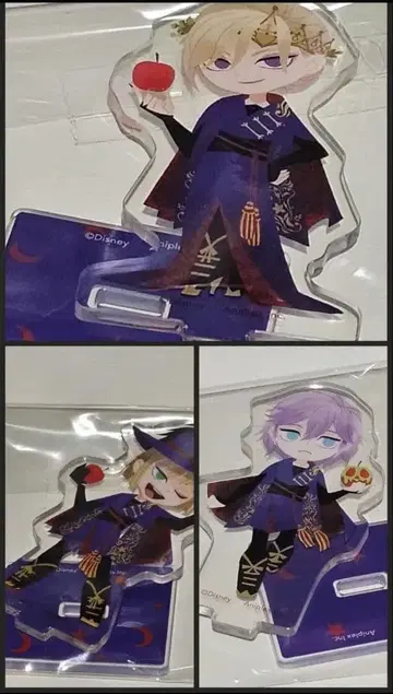 트위스테 그리힐 아크릴 스탠드 폼피오레 세트