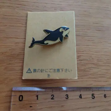 범고래 시라하마 어드벤처 월드 핀 배지