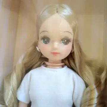 키라짱 인형 본체 리카짱 캐슬 크리스마스 모델 크리스마스