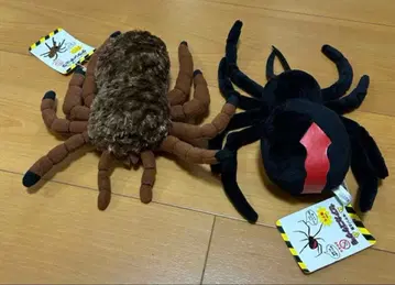 TST ADVANCE 독거미 마그넷 포함 봉제 인형 묶음 판매