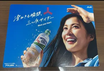 이쿠타 에리카 미츠야 사이다 패널