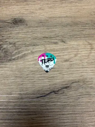 MY FIRST STORY 마이파스 TERU 피크