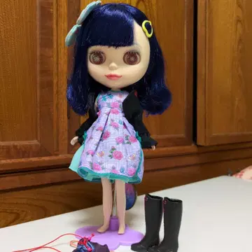 정크 브라이스 프리티 피오니