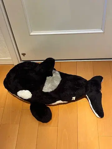 카모가와 씨월드 범고래 봉제 인형